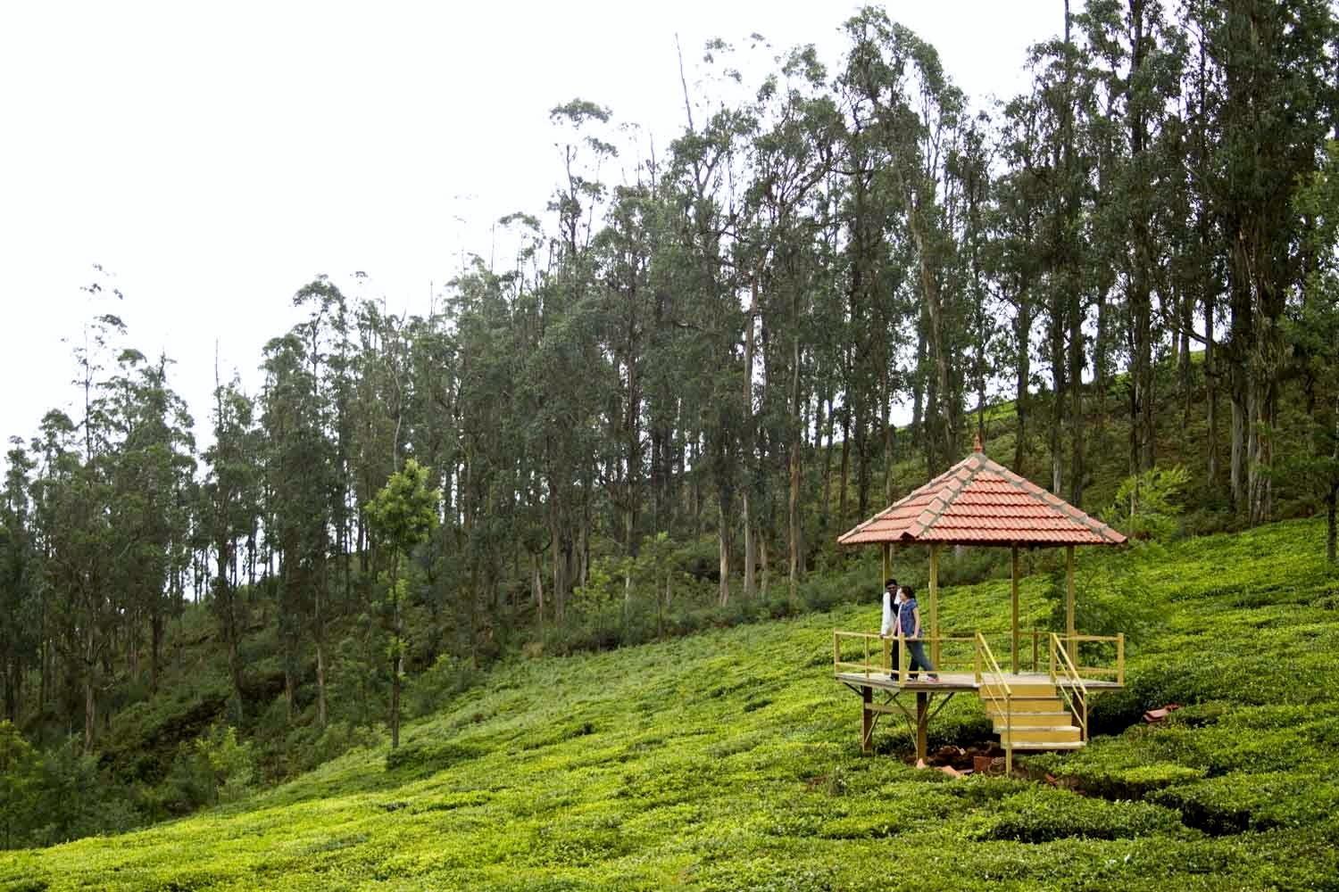 Green Nest Resort Ooty Kotagiri Zewnętrze zdjęcie