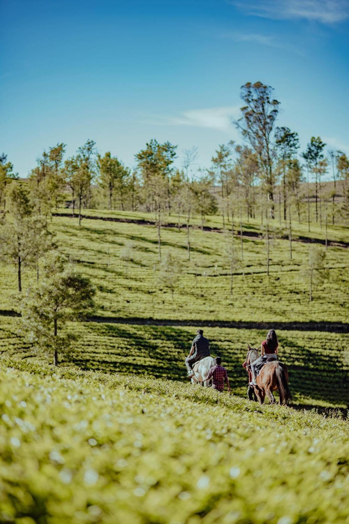 Green Nest Resort Ooty Kotagiri Zewnętrze zdjęcie