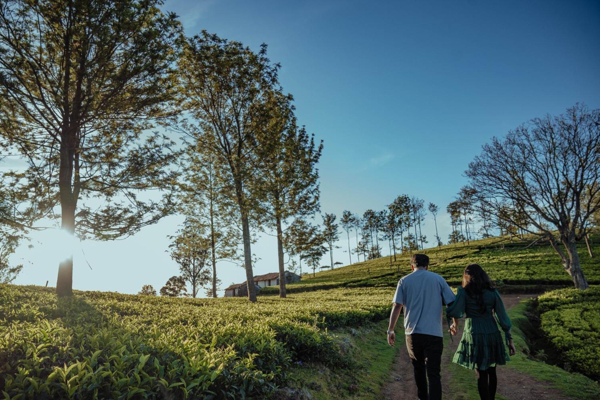 Green Nest Resort Ooty Kotagiri Zewnętrze zdjęcie