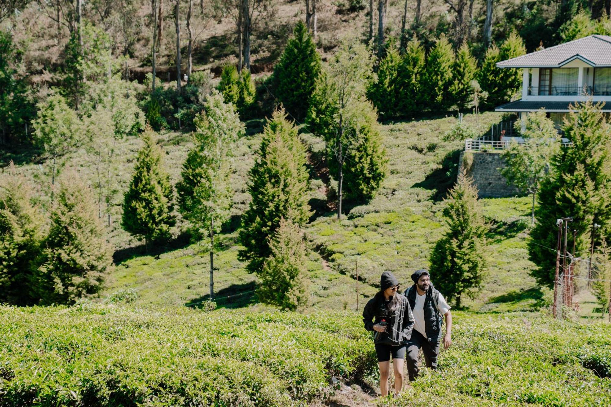Green Nest Resort Ooty Kotagiri Zewnętrze zdjęcie