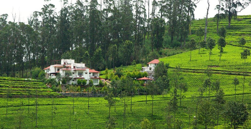 Green Nest Resort Ooty Kotagiri Zewnętrze zdjęcie