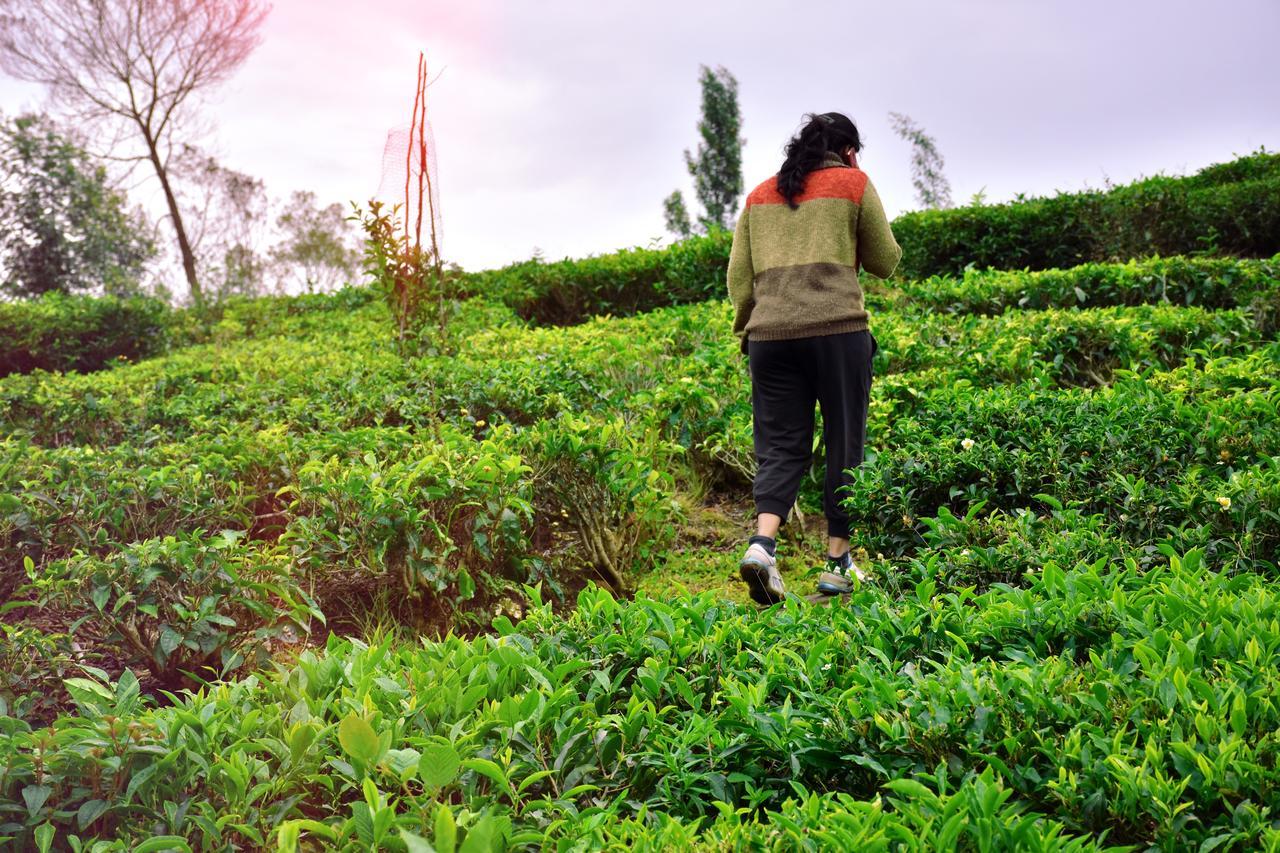 Green Nest Resort Ooty Kotagiri Zewnętrze zdjęcie